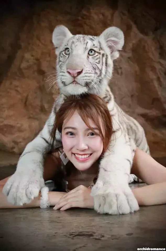 Napaporn Profile image 4